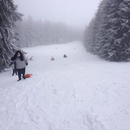 Daire Duplex Superbe Vue Montagne La Bourboule