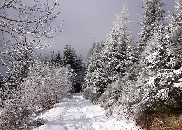 Duplex Superbe Vue Montagne