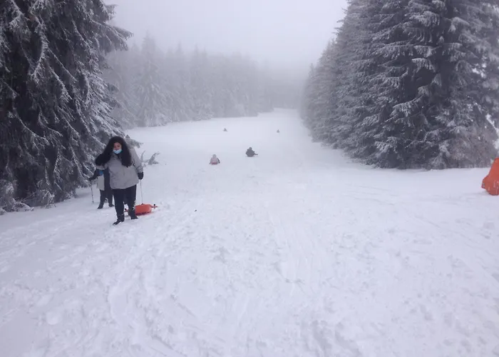 Апартаменты Duplex Superbe Vue Montagne Ла-Бурбуль